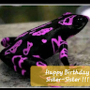 Meet your Posher, Sherri ann